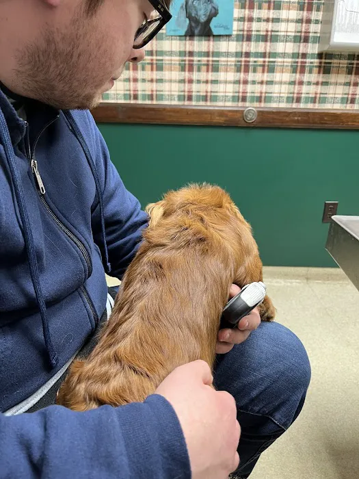 Rainbow Pet Care Center Picture 7