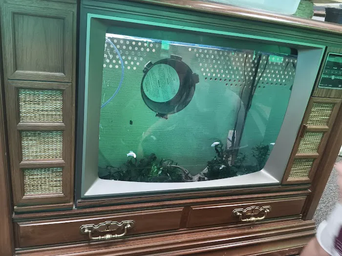 Natural AquariumZ Picture 2
