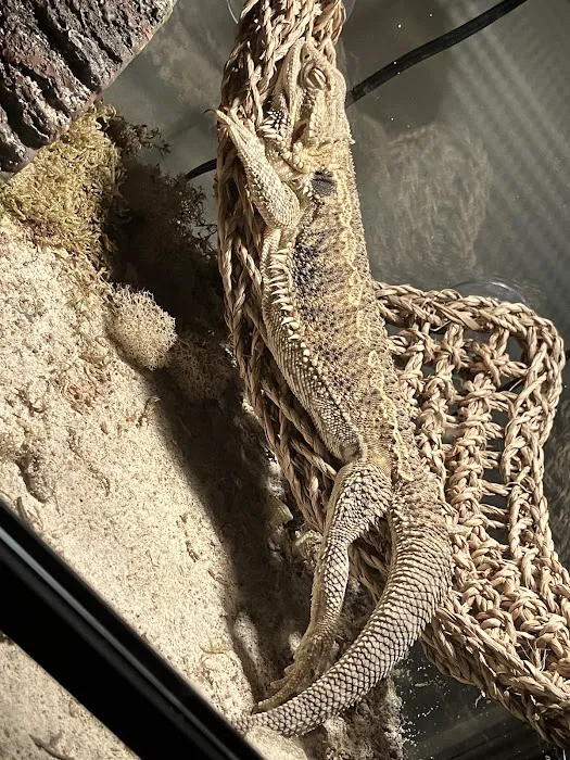 Natural AquariumZ Picture 6