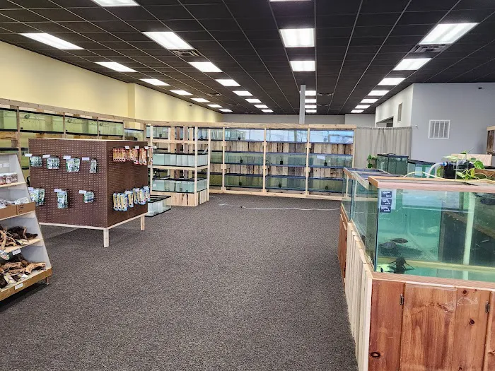 Natural AquariumZ Picture 5