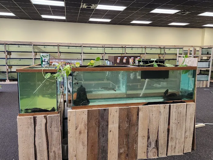 Natural AquariumZ Picture 4