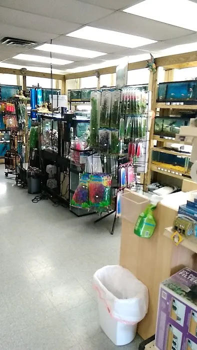 Pet Paradise II Picture 5