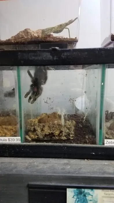 Pet Paradise II Picture 10