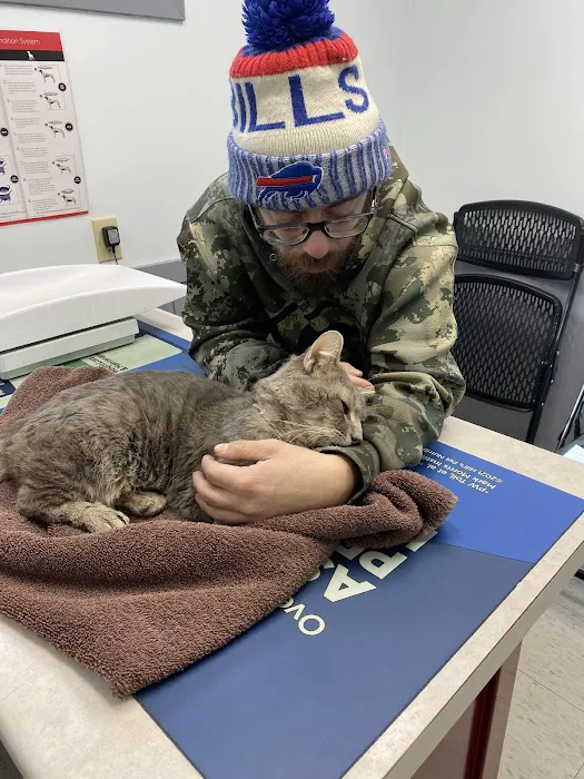 Deer Creek Animal Hospital Picture 2