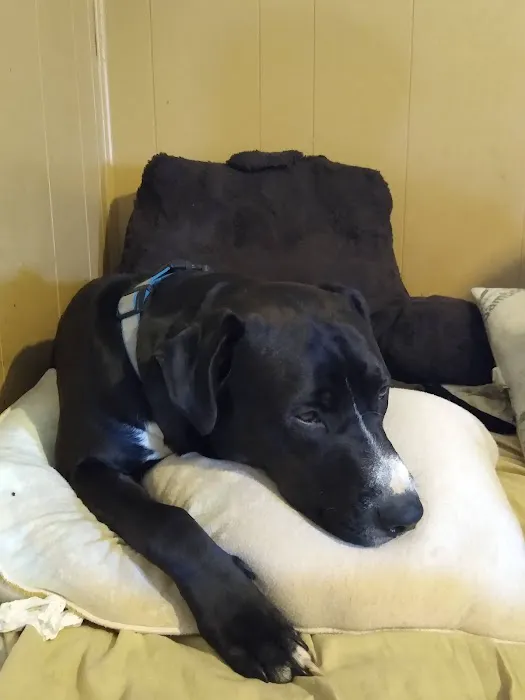 Deer Creek Animal Hospital Picture 9