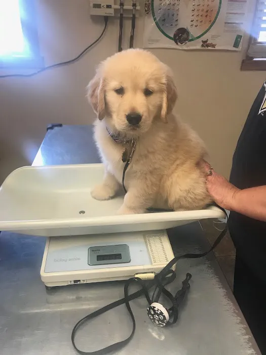 Crossroads Veterinary Hospital Picture 3