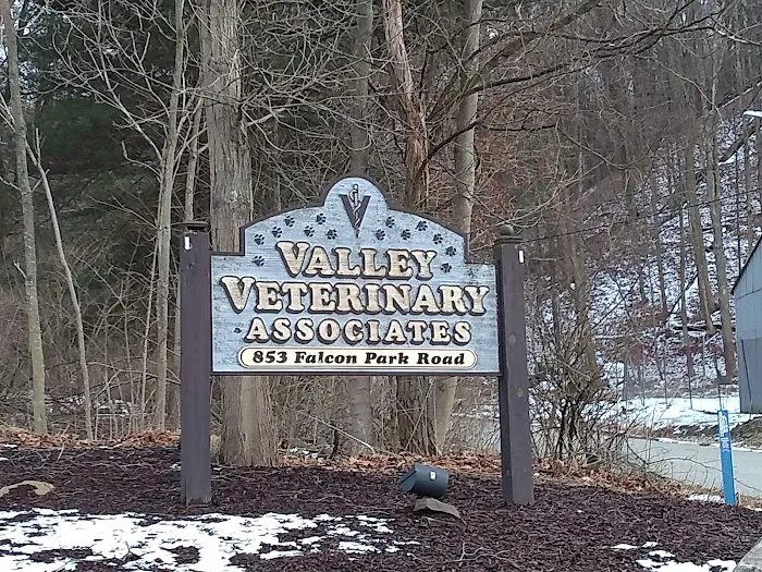 VCA Valley Vet Animal Hospital Picture 10