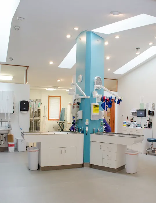 River Valley Veterinary Hospital | Fox Chapel | Oakmont | Springdale Picture 3