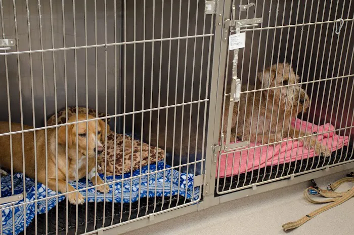 River Valley Veterinary Hospital | Fox Chapel | Oakmont | Springdale Picture 10
