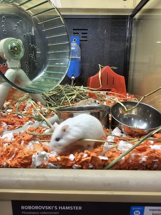 Banfield Pet Hospital Picture 6