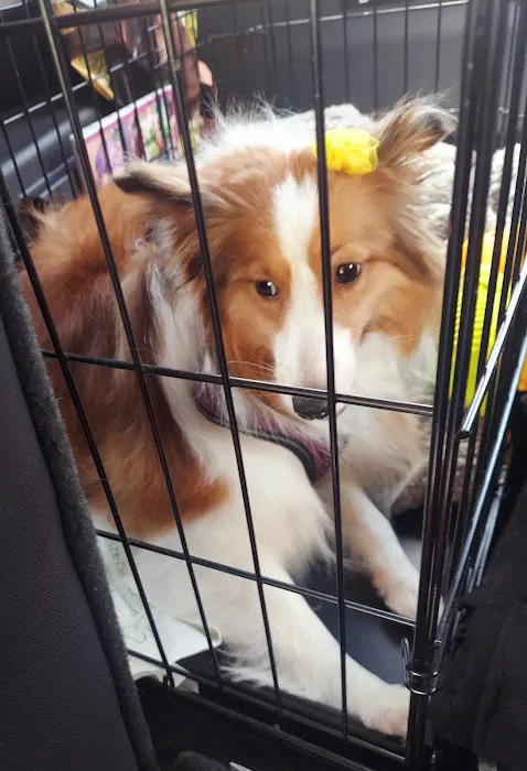 Banfield Pet Hospital Picture 7