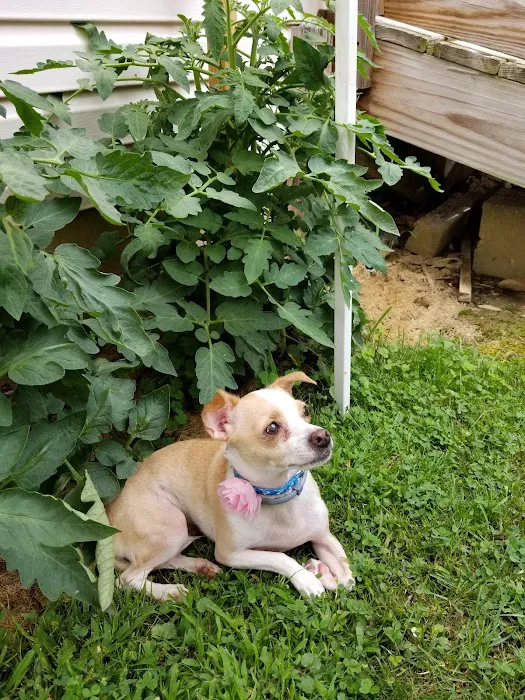 Plum Animal Hospital Picture 4