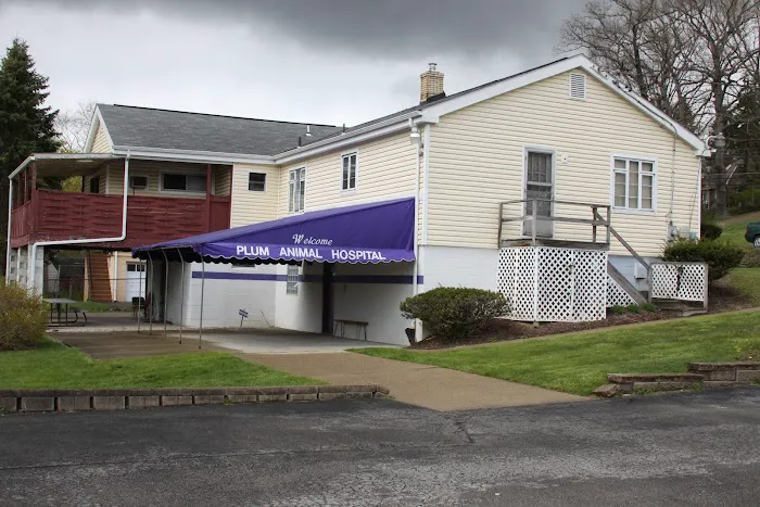Plum Animal Hospital Picture 2
