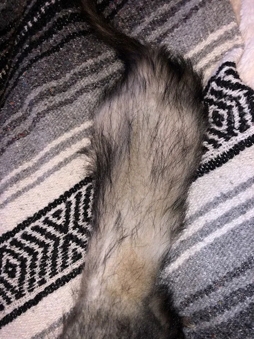 Northern Pike Veterinary Hospital Picture 10