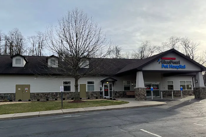 BluePearl Pet Hospital Picture 2