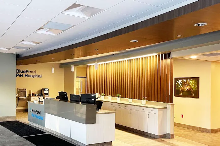 BluePearl Pet Hospital Picture 8