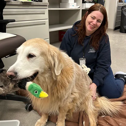 BluePearl Pet Hospital Picture 1