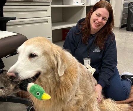 BluePearl Pet Hospital