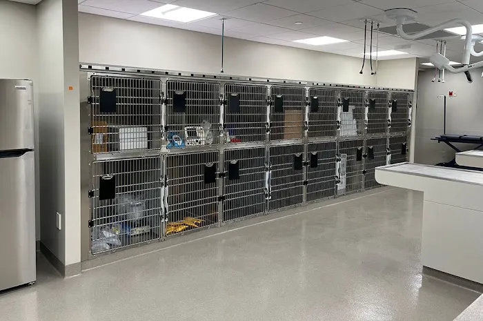 BluePearl Pet Hospital Picture 5
