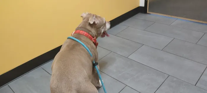Banfield Pet Hospital Picture 6