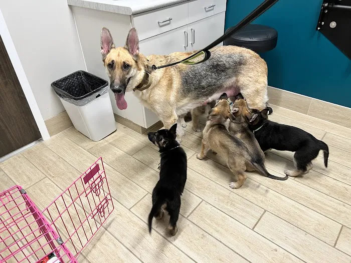 Barnes Lake Veterinary Center Picture 3