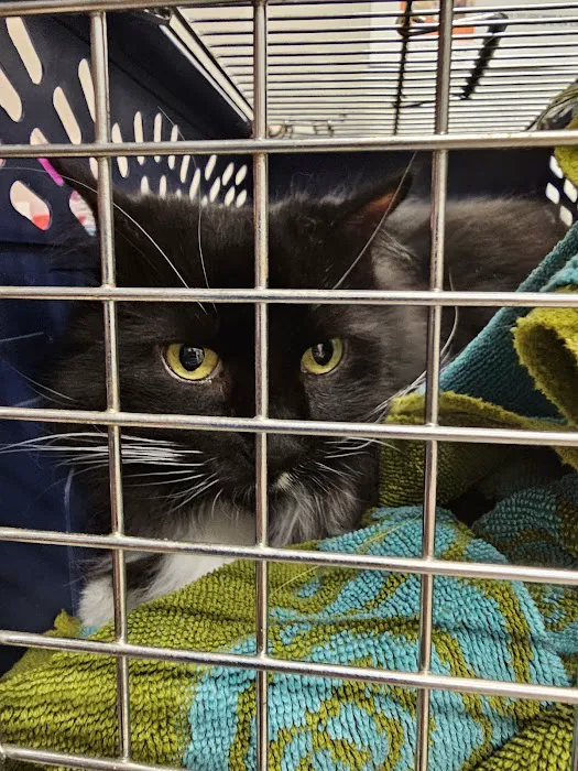 Barnes Lake Veterinary Center Picture 5