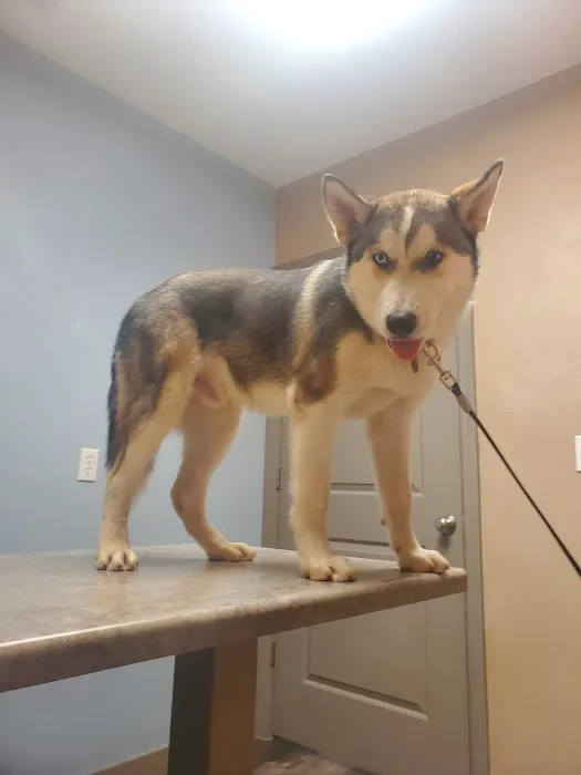 Countryside Veterinary Hospital Picture 1