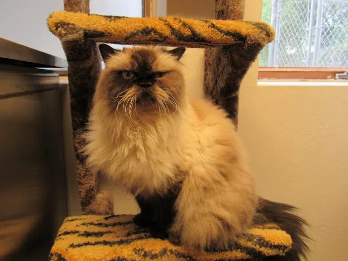Countryside Veterinary Hospital Picture 8