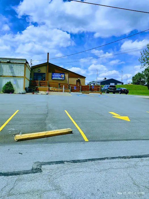 Norwin Veterinary Hospital Picture 5