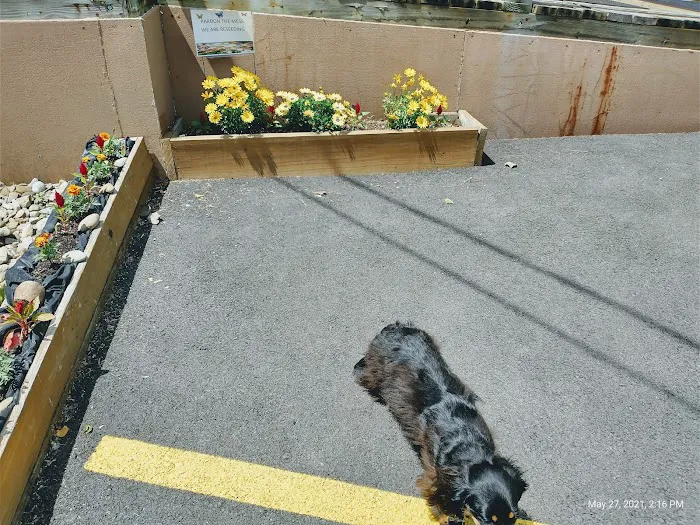 Norwin Veterinary Hospital Picture 6