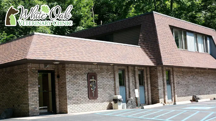 White Oak Veterinary Clinic Picture 2