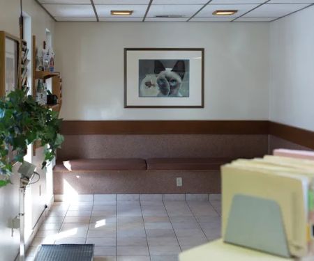 White Oak Veterinary Clinic