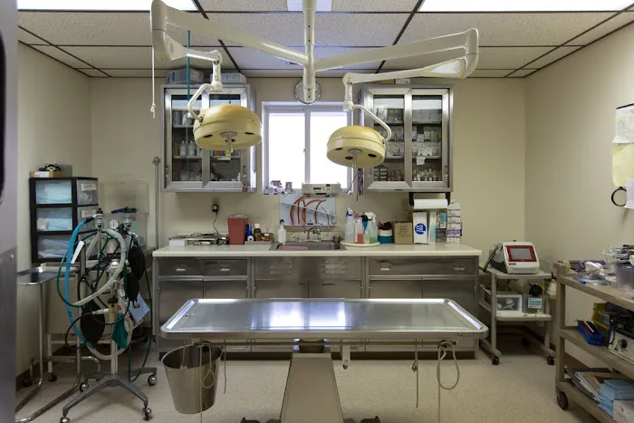 White Oak Veterinary Clinic Picture 5