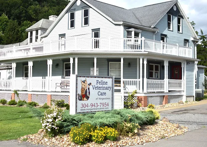 Feline Veterinary Care of Morgantown Picture 3
