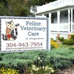 Feline Veterinary Care of Morgantown