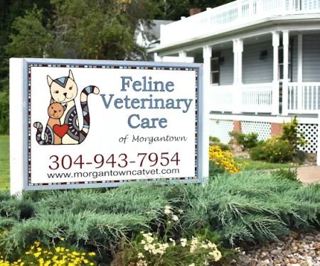 Feline Veterinary Care of Morgantown