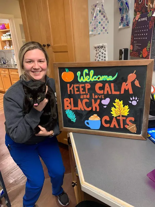 Feline Veterinary Care of Morgantown Picture 10