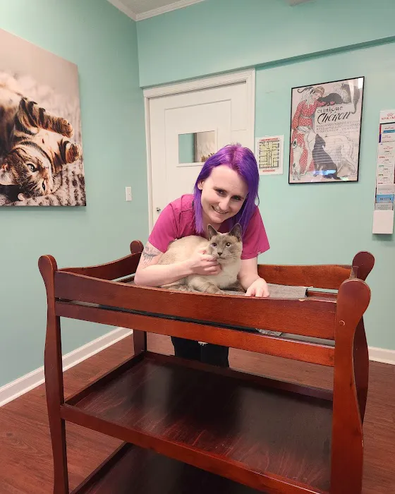 Feline Veterinary Care of Morgantown Picture 6