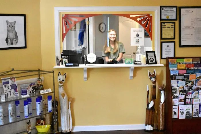 Feline Veterinary Care of Morgantown Picture 8