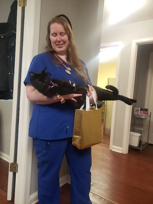 Feline Veterinary Care of Morgantown Picture 7