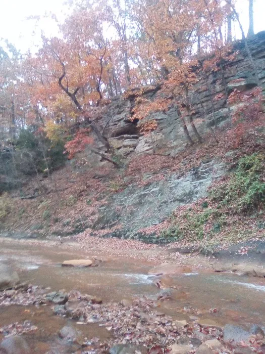 SNIP WV Picture 2