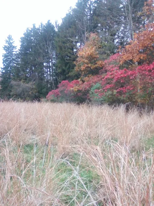 SNIP WV Picture 3