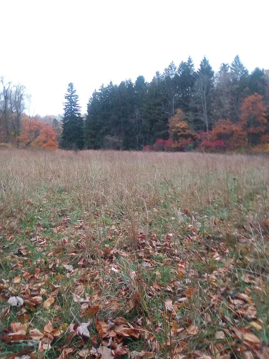 SNIP WV Picture 8
