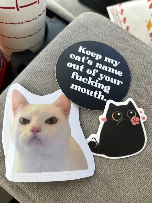 Bark n Meow Picture 4