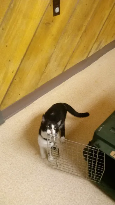 Mountaineer Veterinary Clinic Picture 6