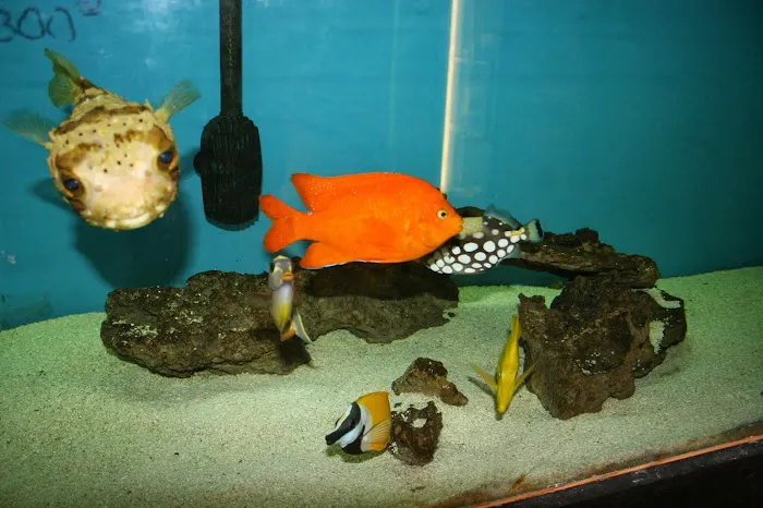 Tropical Kingdom Picture 3