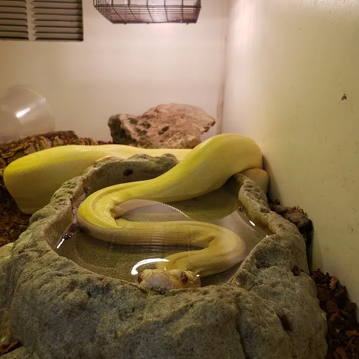 Tropical Kingdom Picture 9