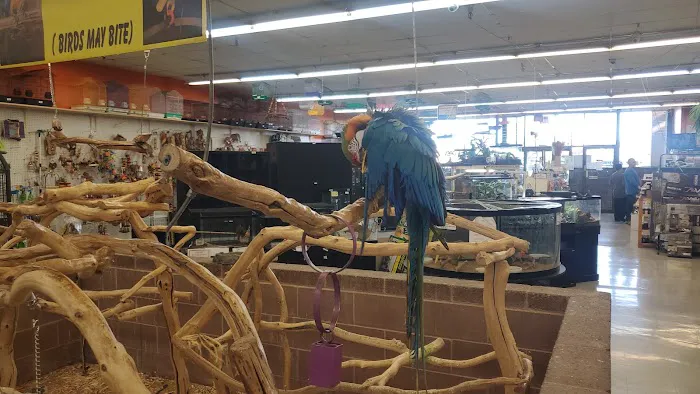 Tropical Kingdom Picture 10