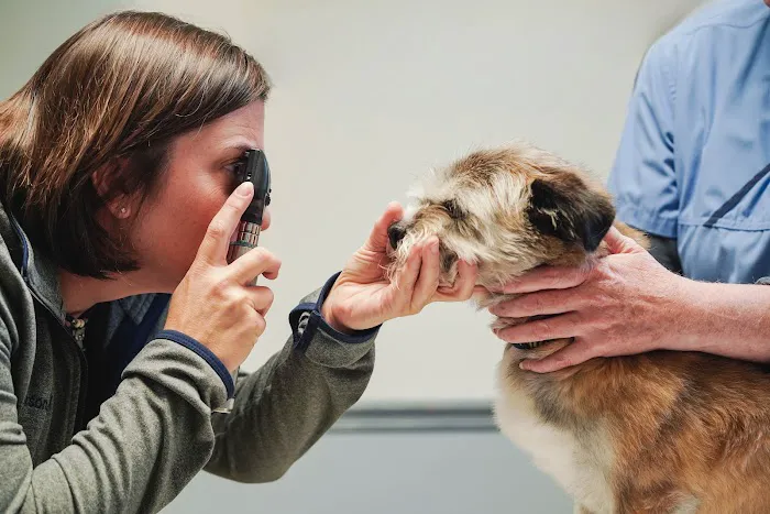 Animal Medical Center Picture 1