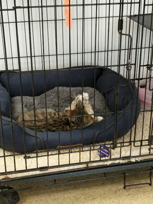 Animal Medical Center Picture 8